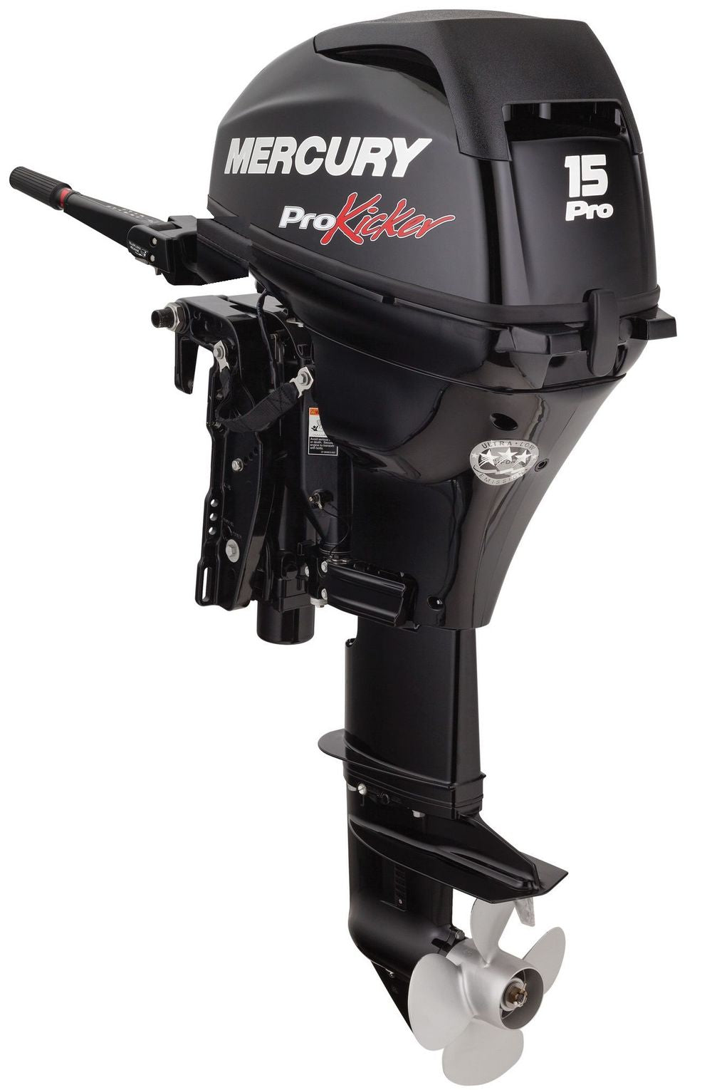 Mercury F15 EFI Aussenborder - Marina Wassersport GmbH