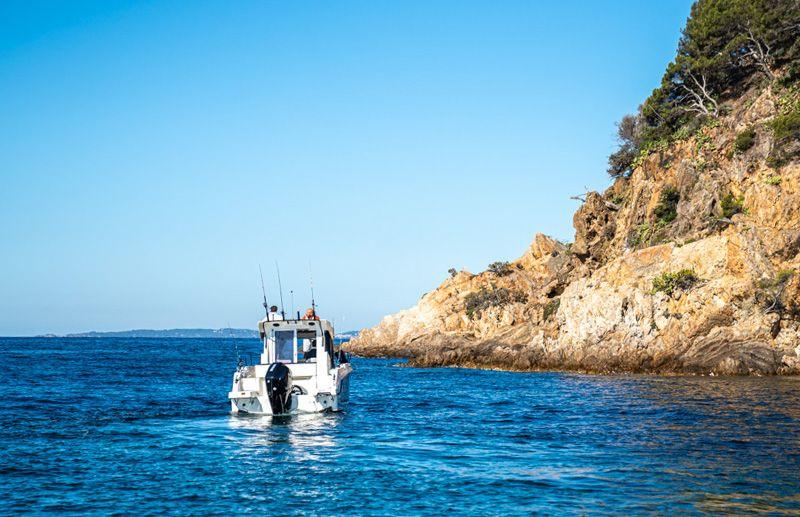 Quicksilver 805 Pilothouse - Marina Wassersport GmbH