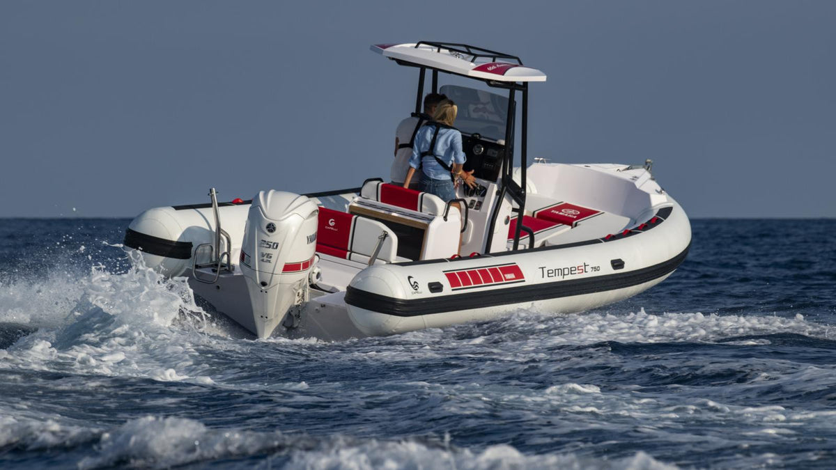 Yamaha F250 Aussenborder - Marina Wassersport GmbH