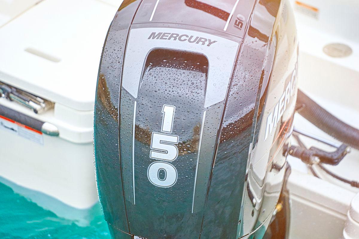 Quicksilver Activ 605 Sundeck - Marina Wassersport GmbH