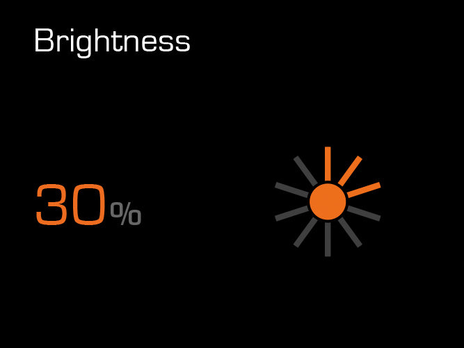 Torqeedo TorqLink Gashebel mit Farbdisplay
