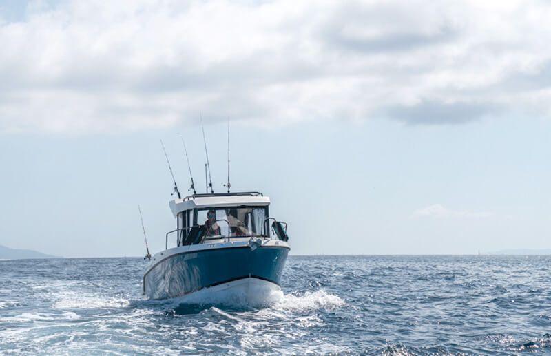 Quicksilver 705 Pilothouse