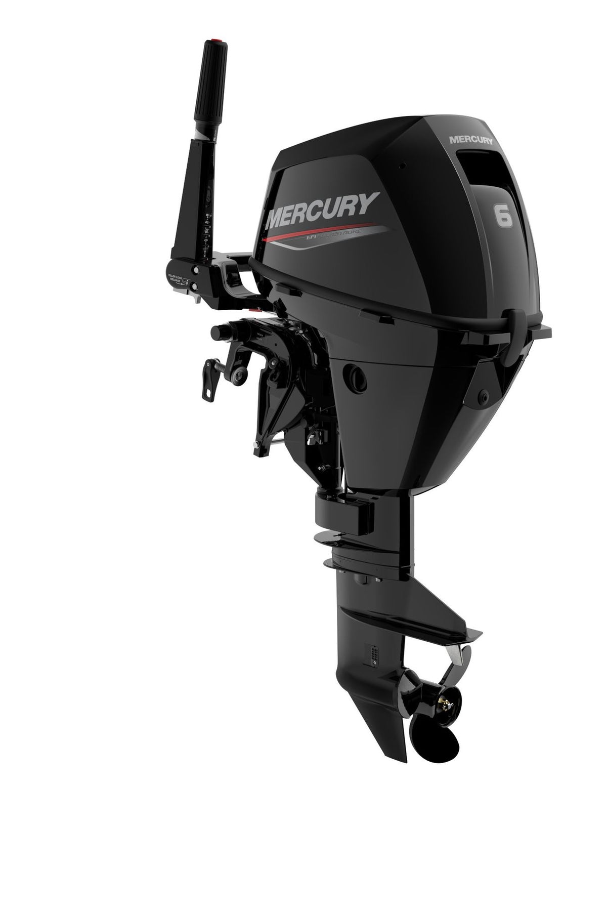Mercury F6 EFI Aussenborder