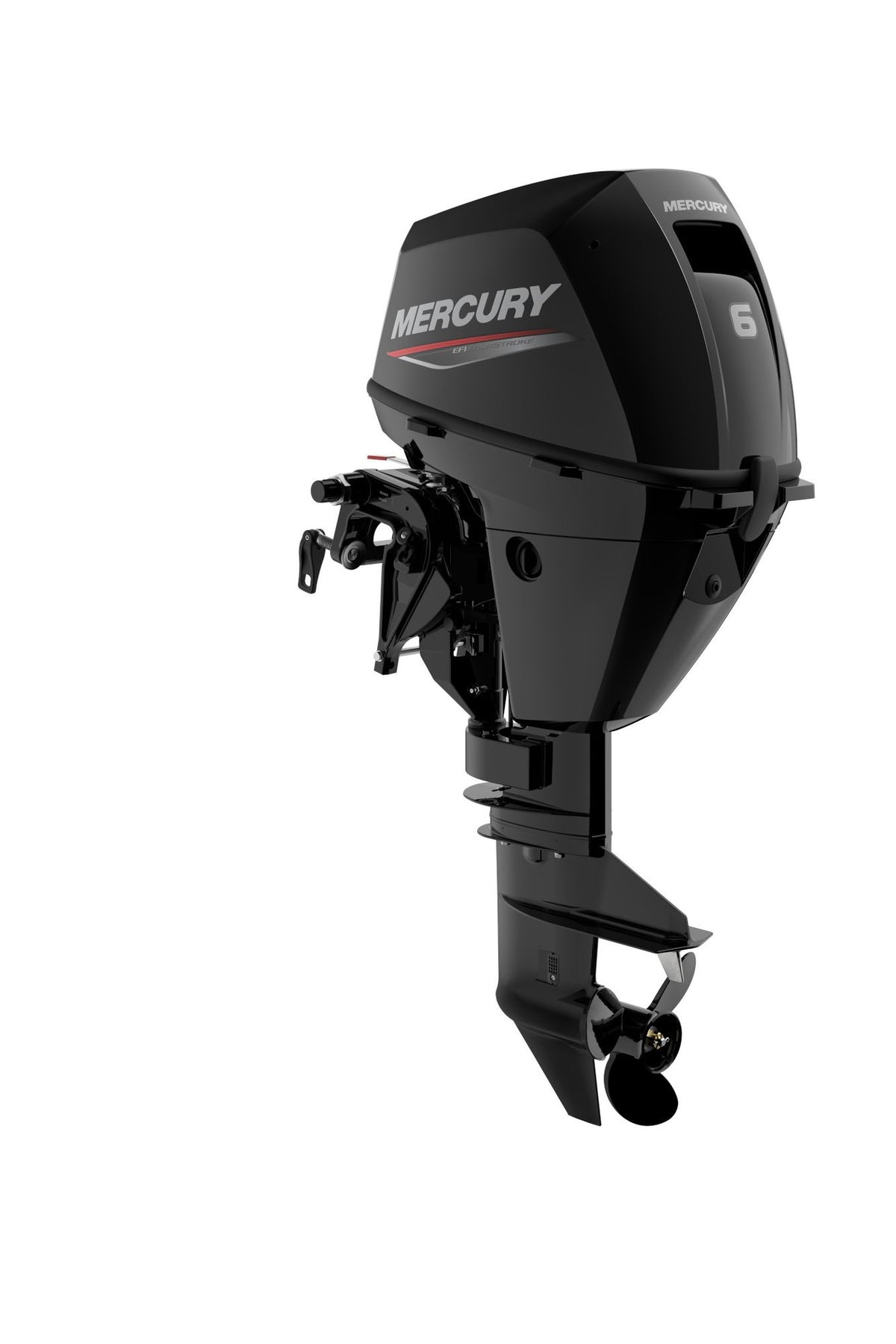 Mercury F6 EFI Aussenborder