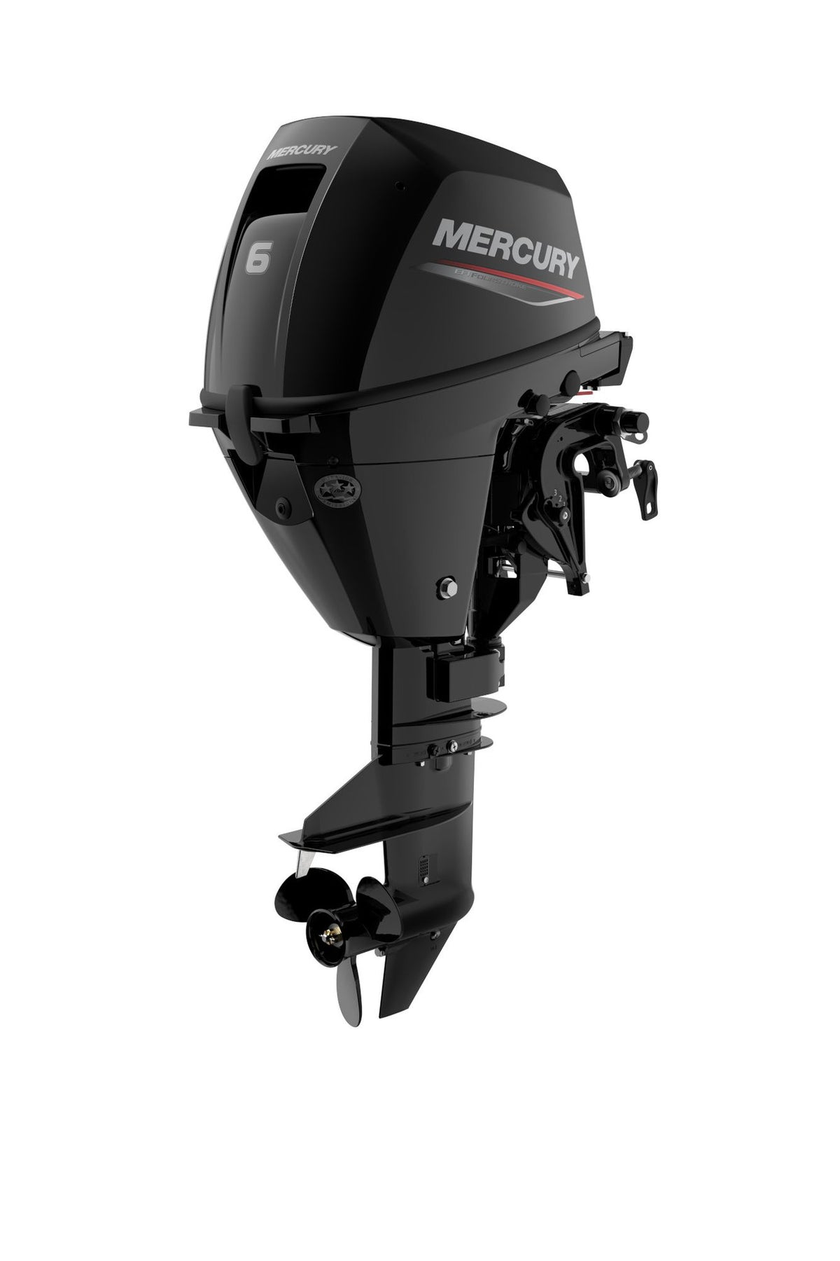Mercury F6 EFI Aussenborder