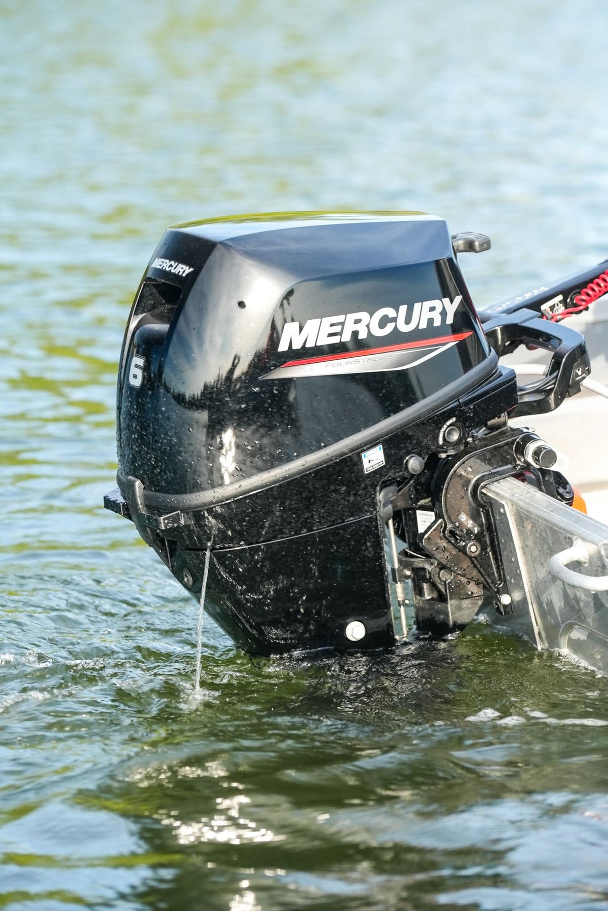 Mercury F6 EFI Aussenborder
