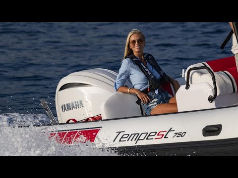 Yamaha F250B Aussenborder